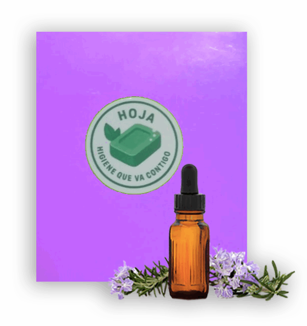 HOJA Lavanda